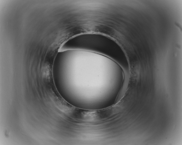 X0000103250132200808281512