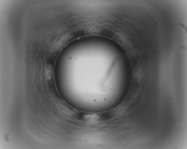 X0000103250133200808281512