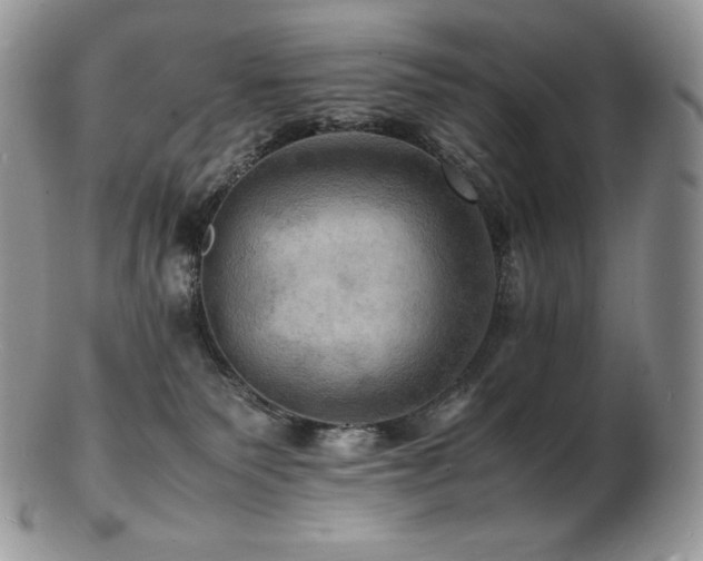 X0000103250135200808281512