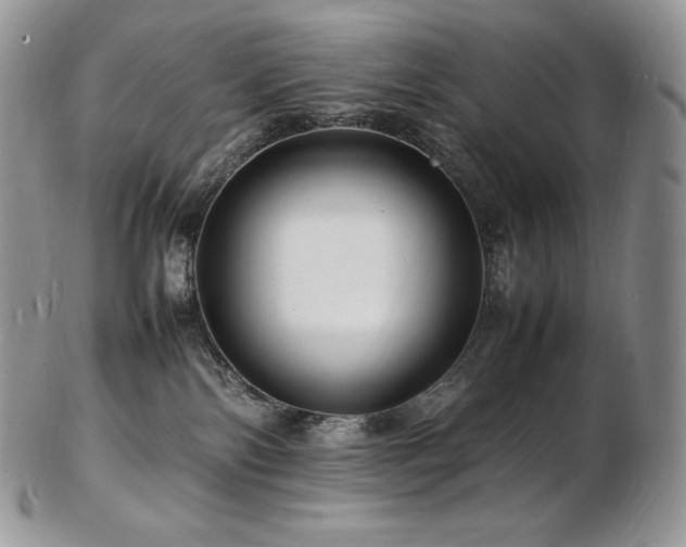 X0000103250138200808281512