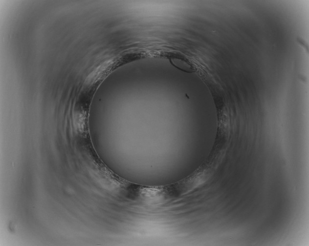 X0000103250139200808281512