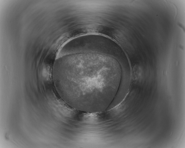 X0000103250140200808281512