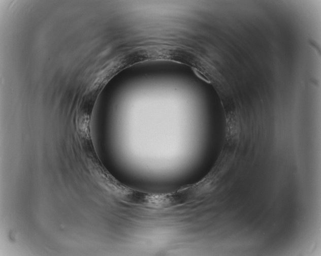 X0000103250141200808281512