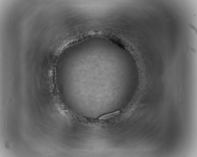 X0000103250144200808281512