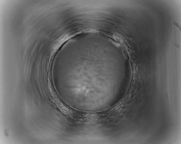 X0000103250145200808281511