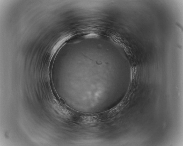 X0000103250147200808281511