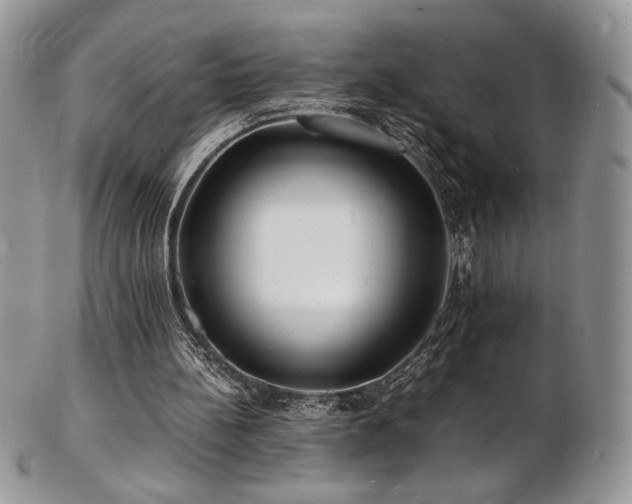 X0000103250148200808281511