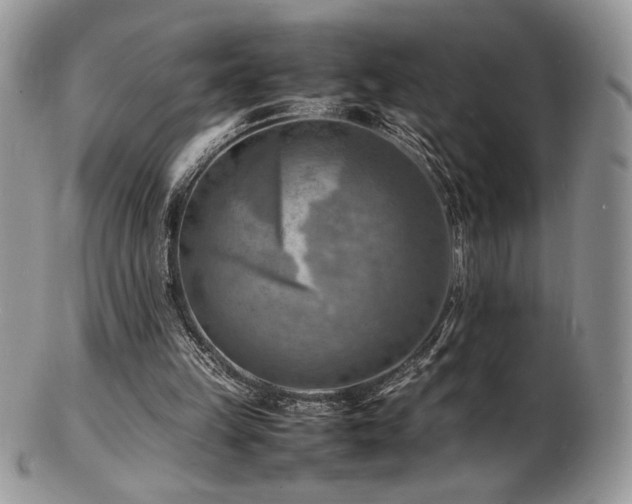 X0000103250149200808281511
