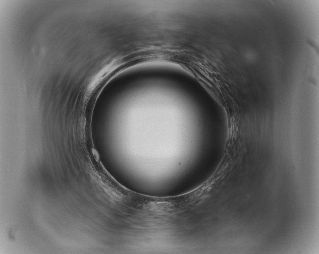 X0000103250150200808281511