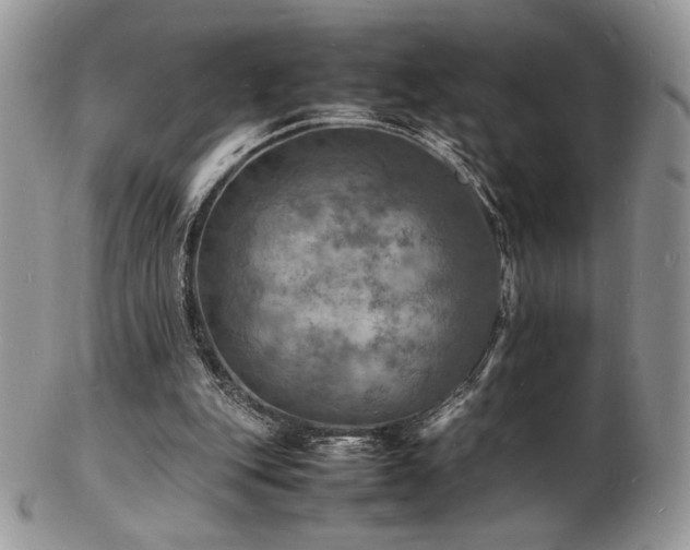 X0000103250151200808281511