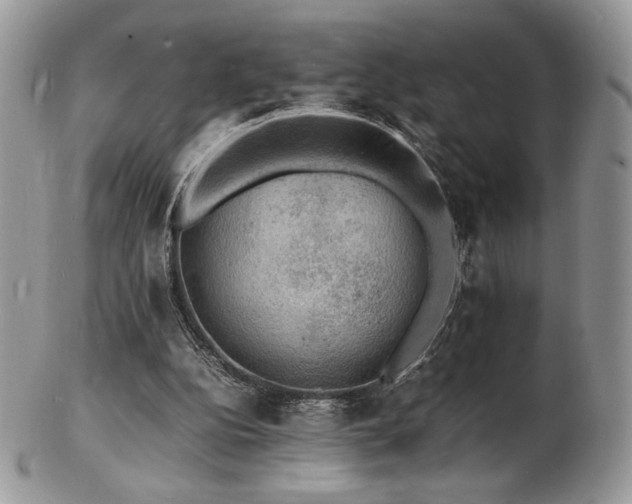 X0000103250152200808281511