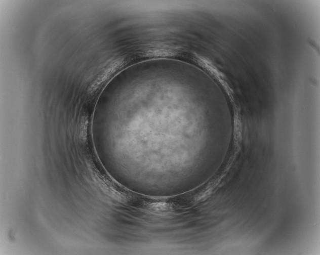 X0000103250153200808281511