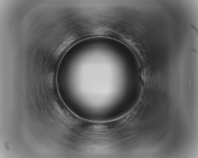 X0000103250154200808281511