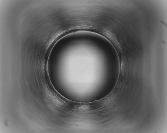 X0000103250156200808281511