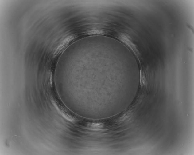 X0000103250157200808281511