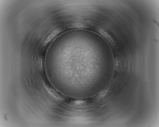 X0000103250158200808281511
