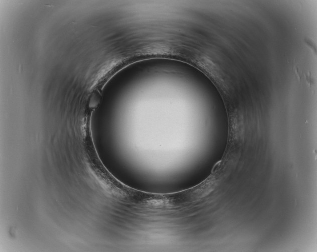 X0000103250160200808281511