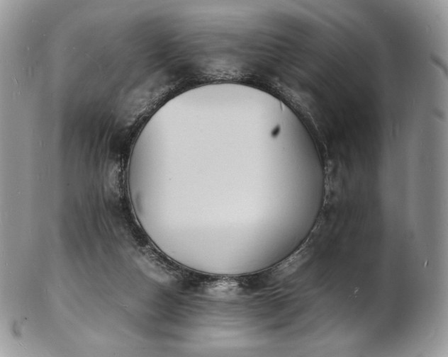 X0000103250162200808281511