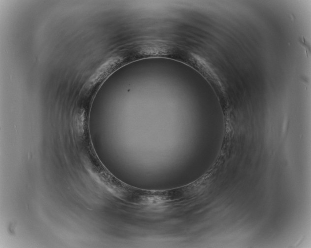 X0000103250163200808281511