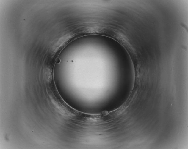 X0000103250164200808281511
