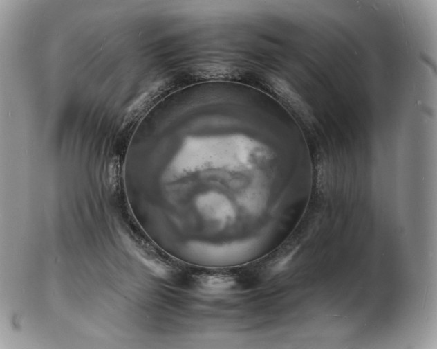 X0000103250165200808281511