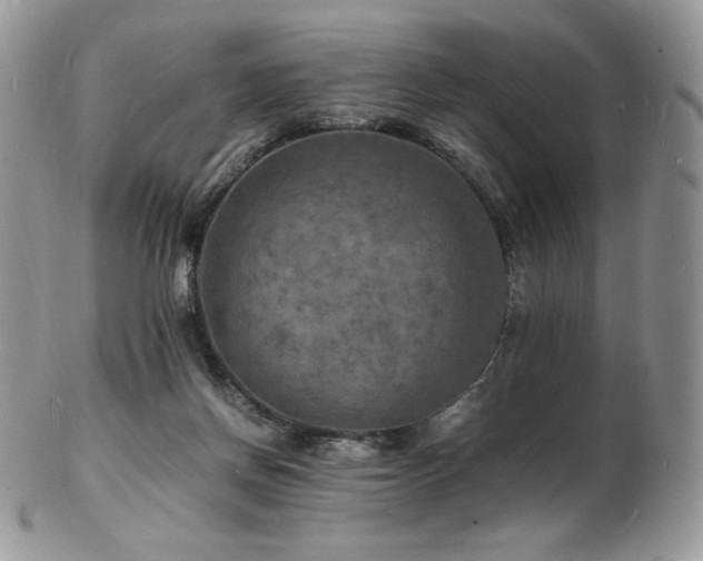 X0000103250166200808281511