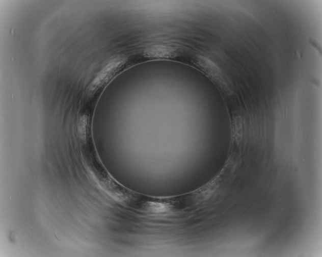 X0000103250167200808281511