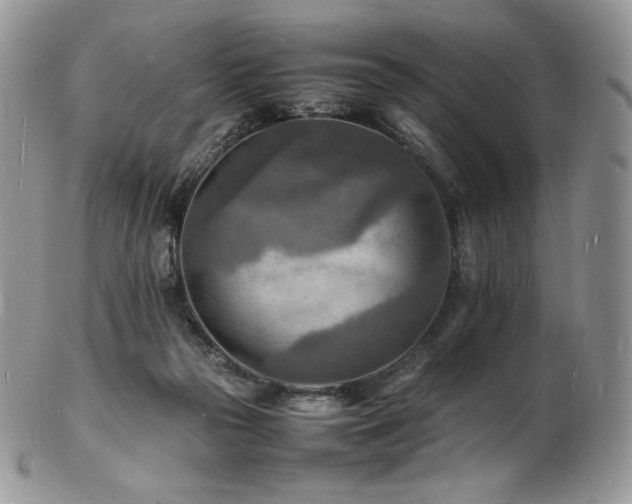 X0000103250169200808281511