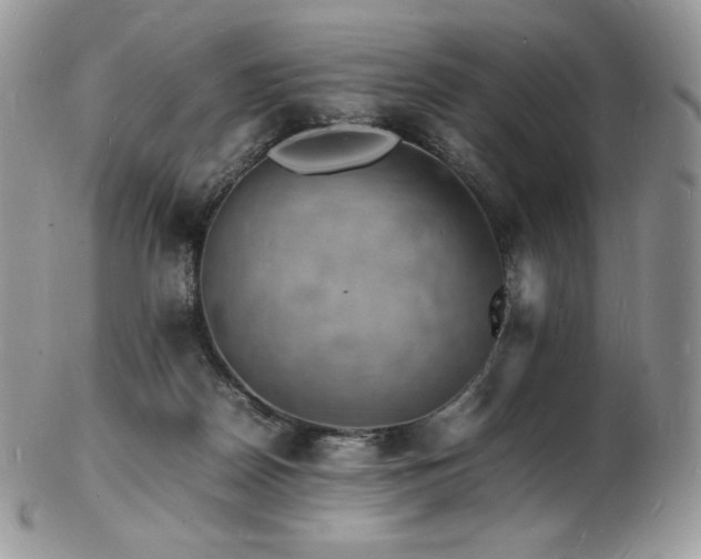 X0000103250170200808281511