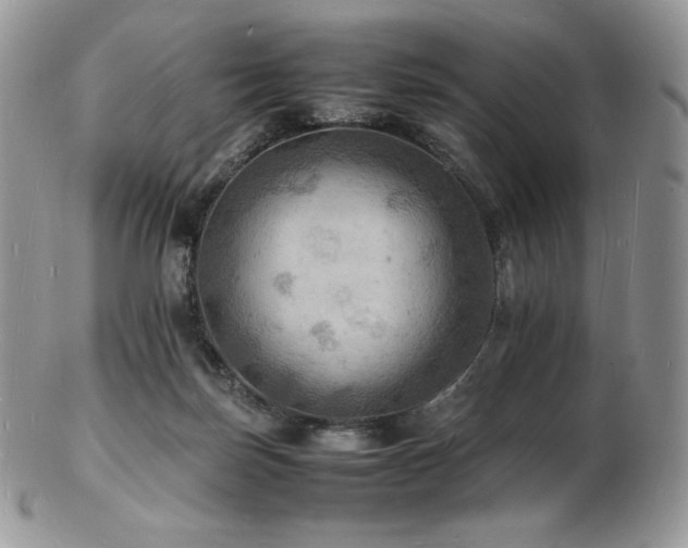 X0000103250171200808281511