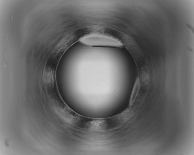 X0000103250172200808281511