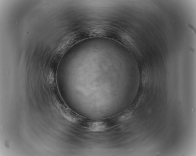 X0000103250173200808281511