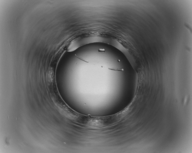 X0000103250174200808281511
