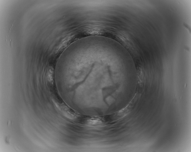 X0000103250175200808281511