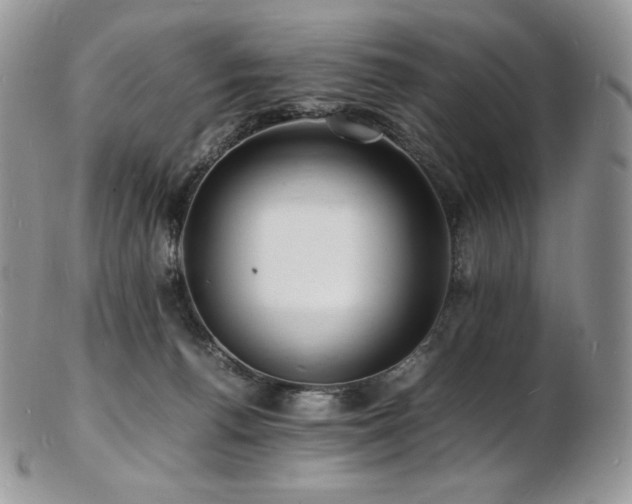 X0000103250176200808281511