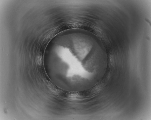 X0000103250177200808281511