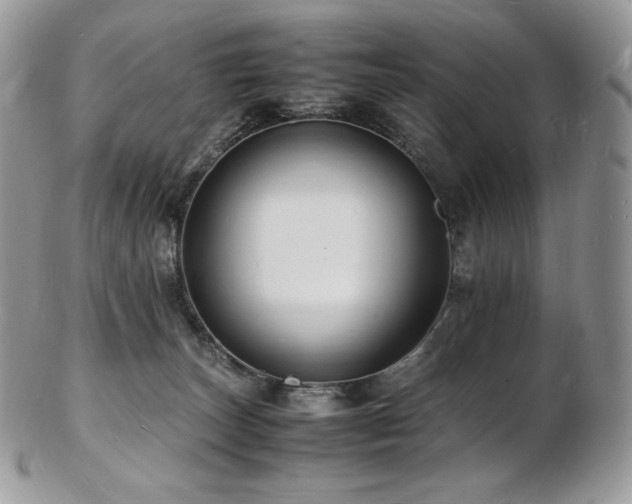 X0000103250179200808281511