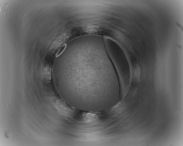 X0000103250180200808281511