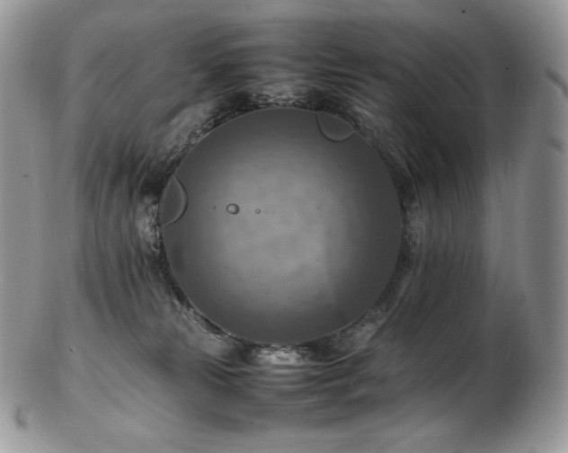 X0000103250181200808281511