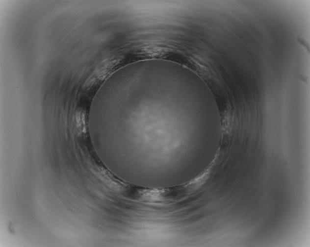 X0000103250182200808281511