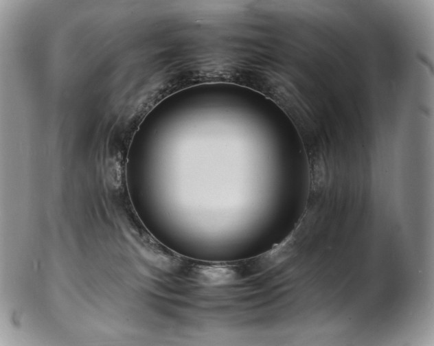 X0000103250183200808281511