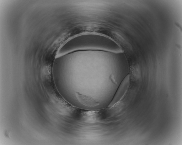 X0000103250184200808281511