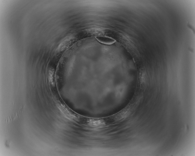 X0000103250185200808281511