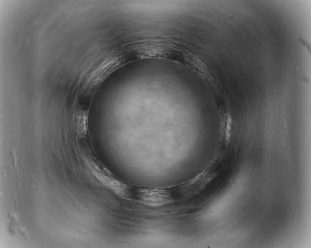 X0000103250191200808281512