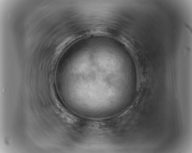 X0000103250193200808281511