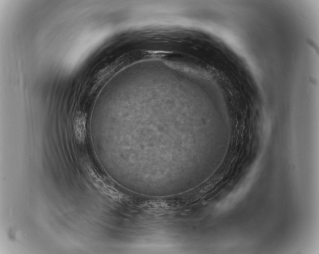 X0000103250194200808281511