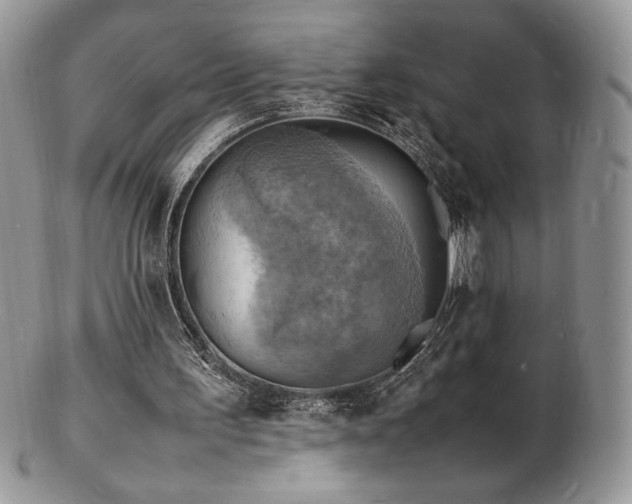 X0000103250195200808281511