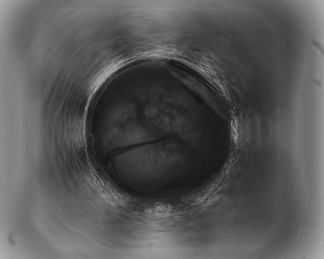 X0000103250196200808281511