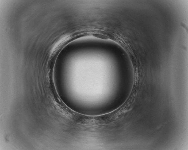 X0000103250197200808281511