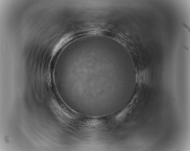 X0000103250198200808281511